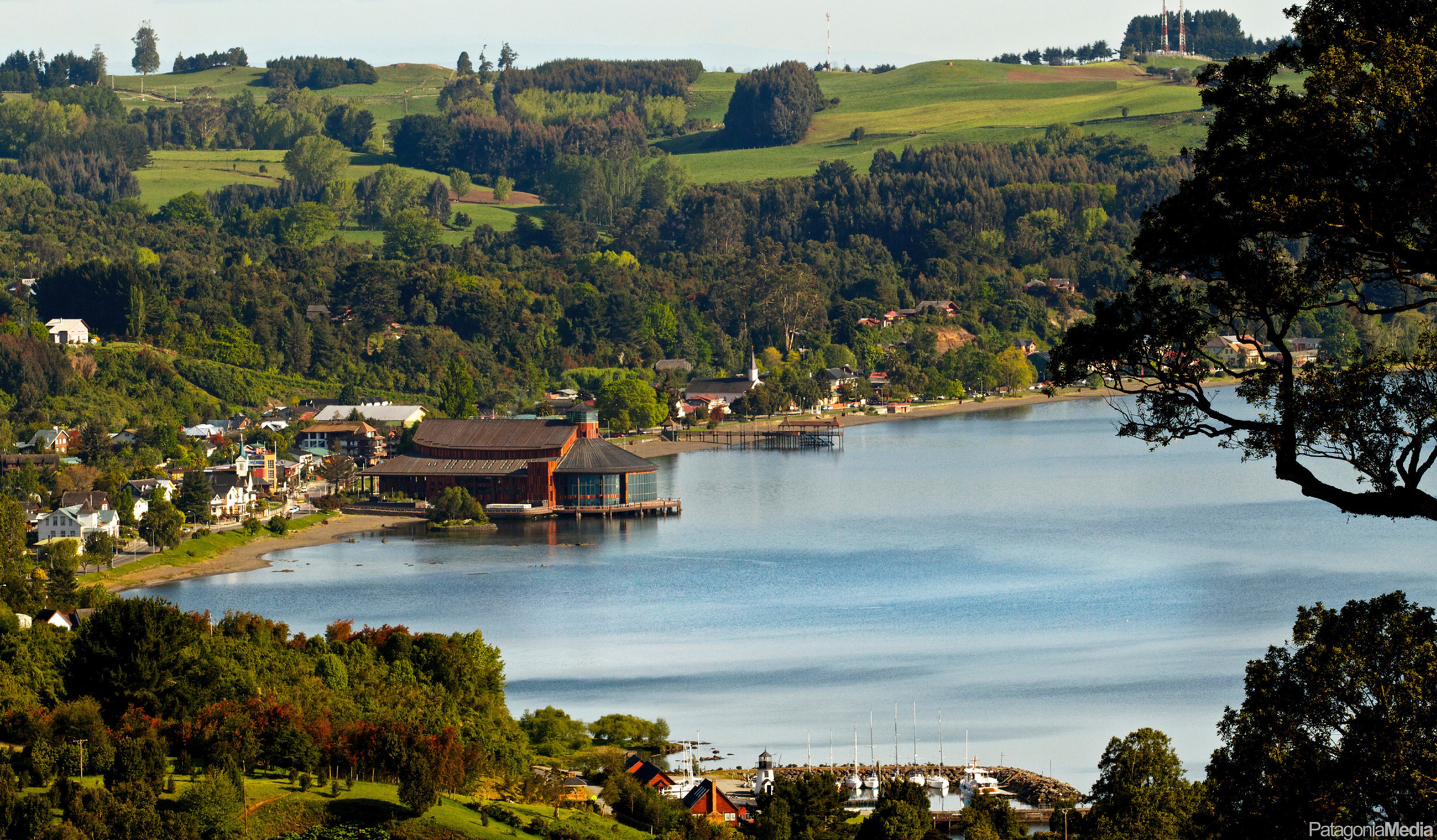 1111f9_ea8f4b2eeff541559c249d362aa911f0~mv2